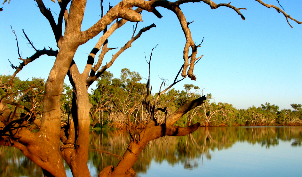 Lake Nuga Nuga