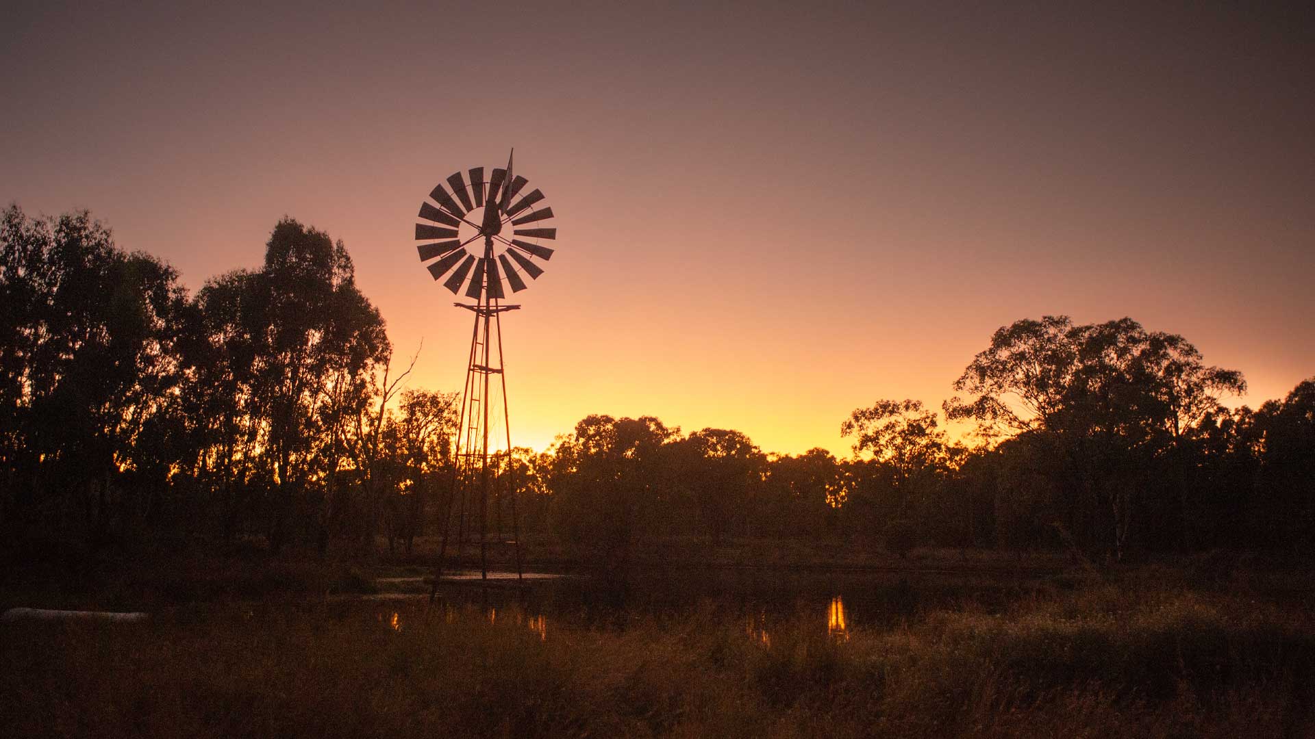 A windmill and shadowed by a sunset