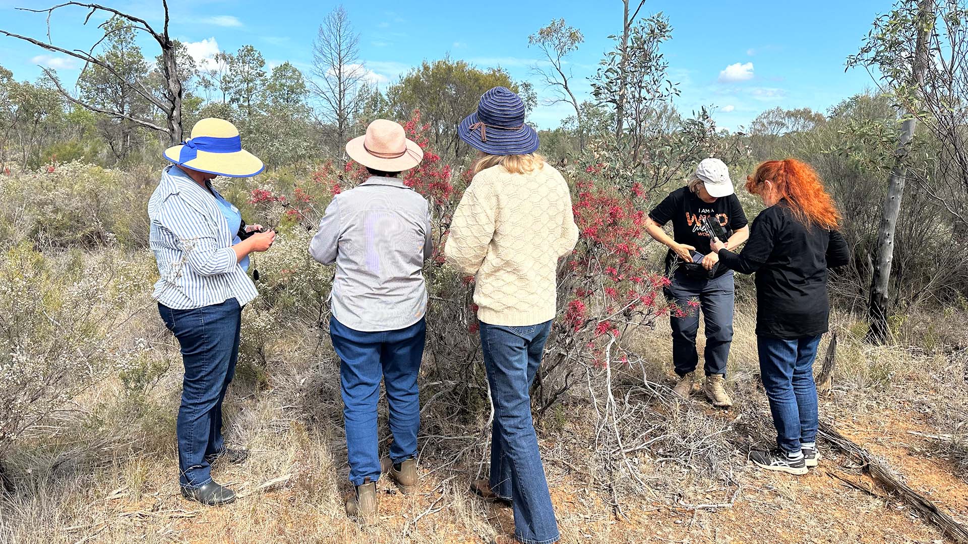 A group of people gathered around a wildflower bush