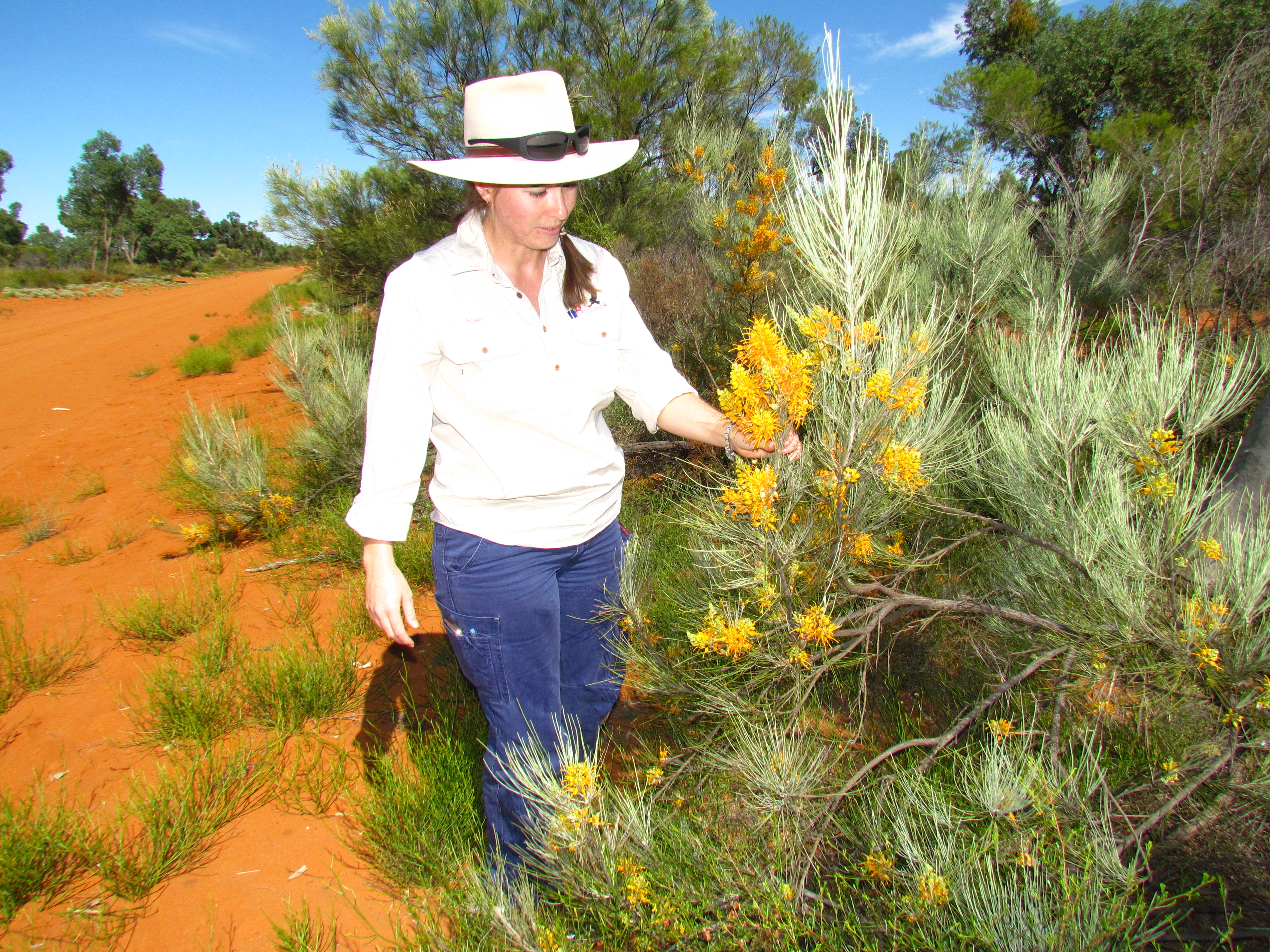 guide tour woman flower botanist wildflower