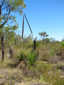 ecotourism hiking nature outdoors