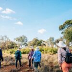 A group of people walking through bushlands