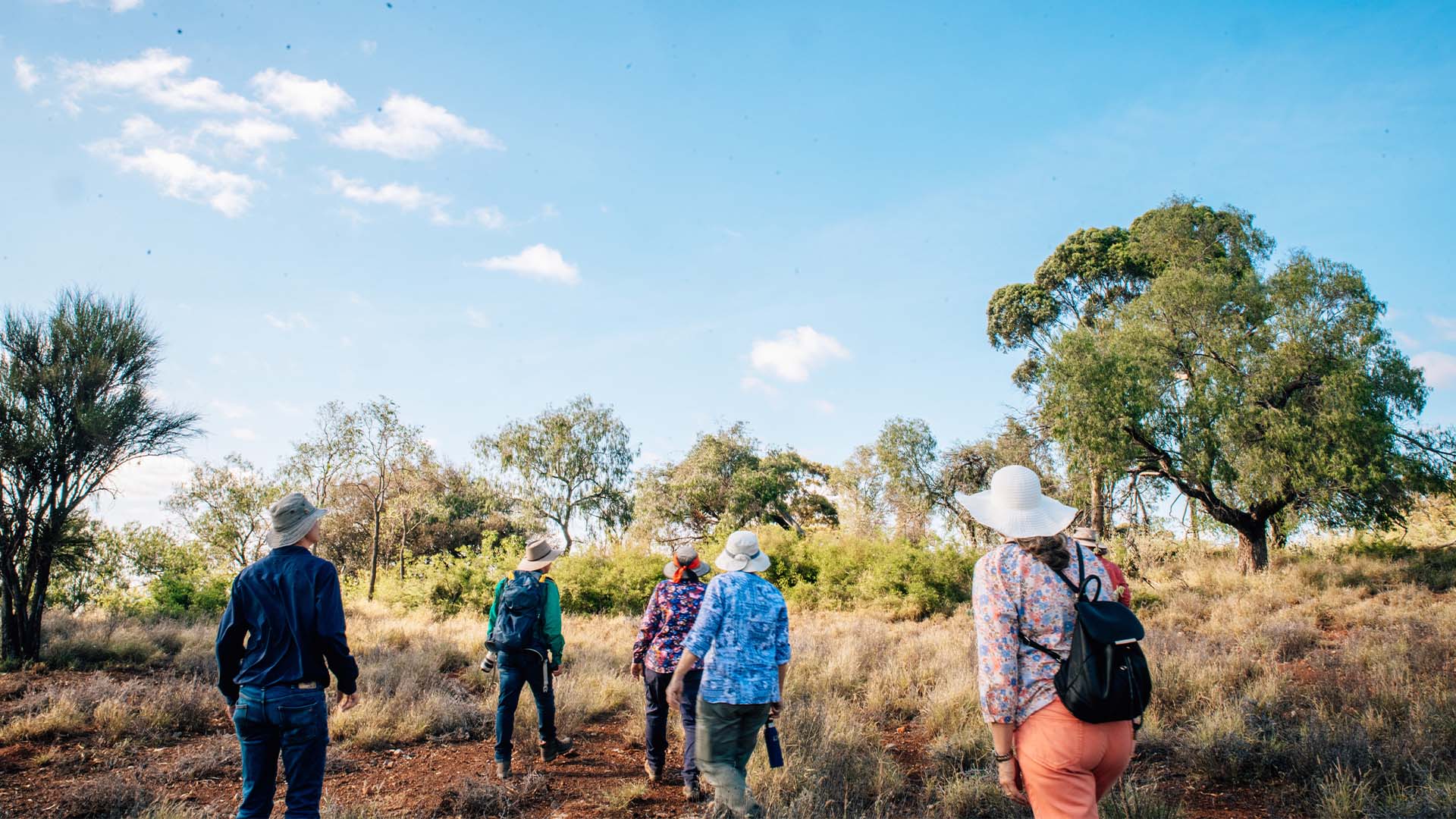 A group of people walking through bushlands