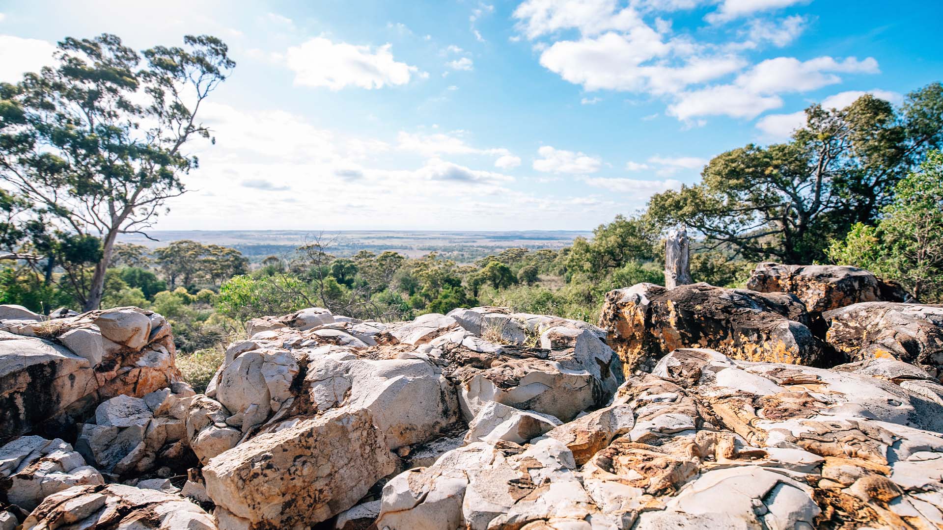 Large flat rocks with trees in the background