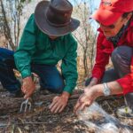 two people digging into soil to collect samples