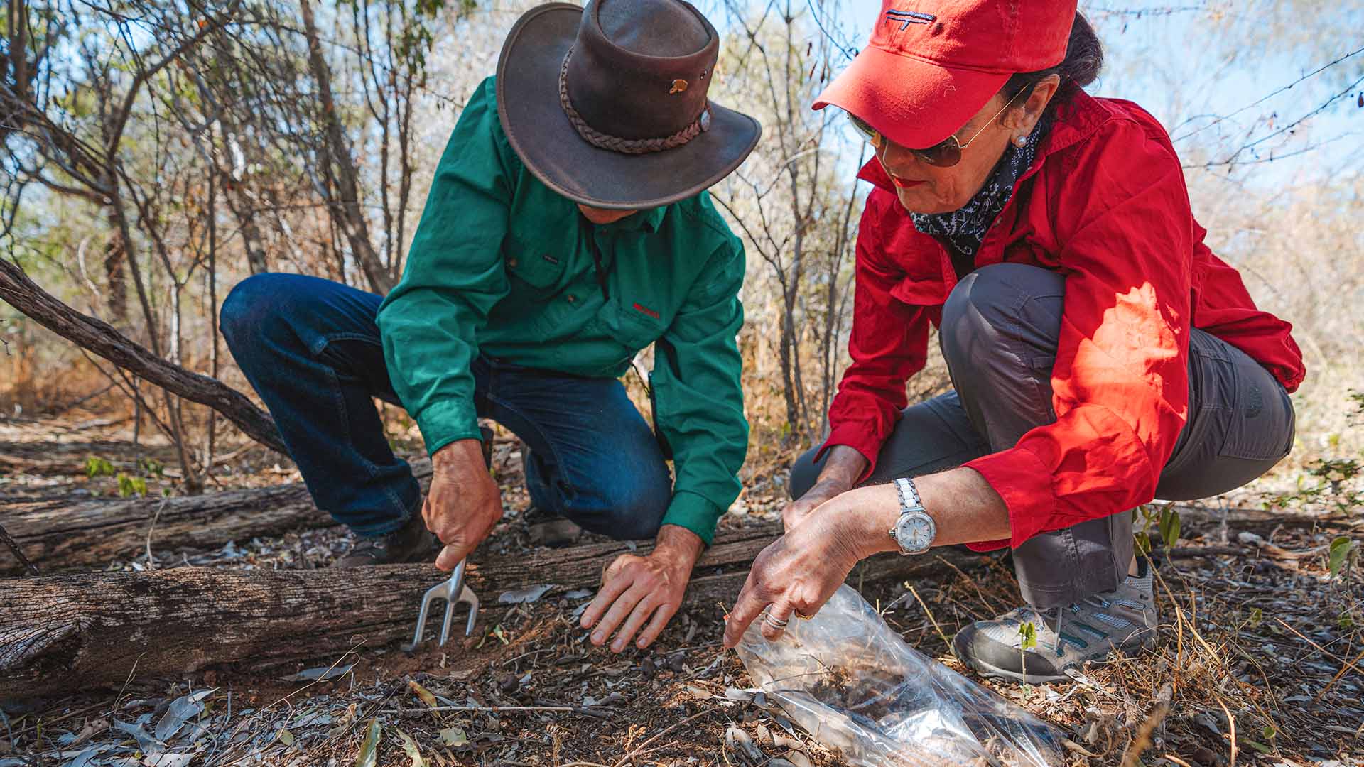 two people digging into soil to collect samples