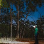 Night spotlighting in the bush