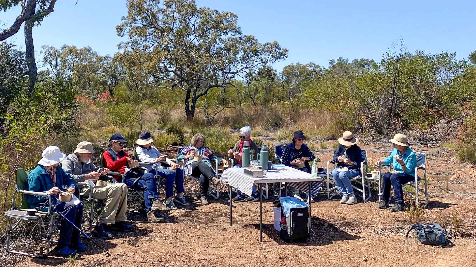 Boobook Explore guests seated and enjoying morning tea in a bush setting