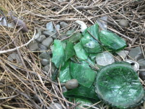 Centre of Bower bowerbird nest outback queensland