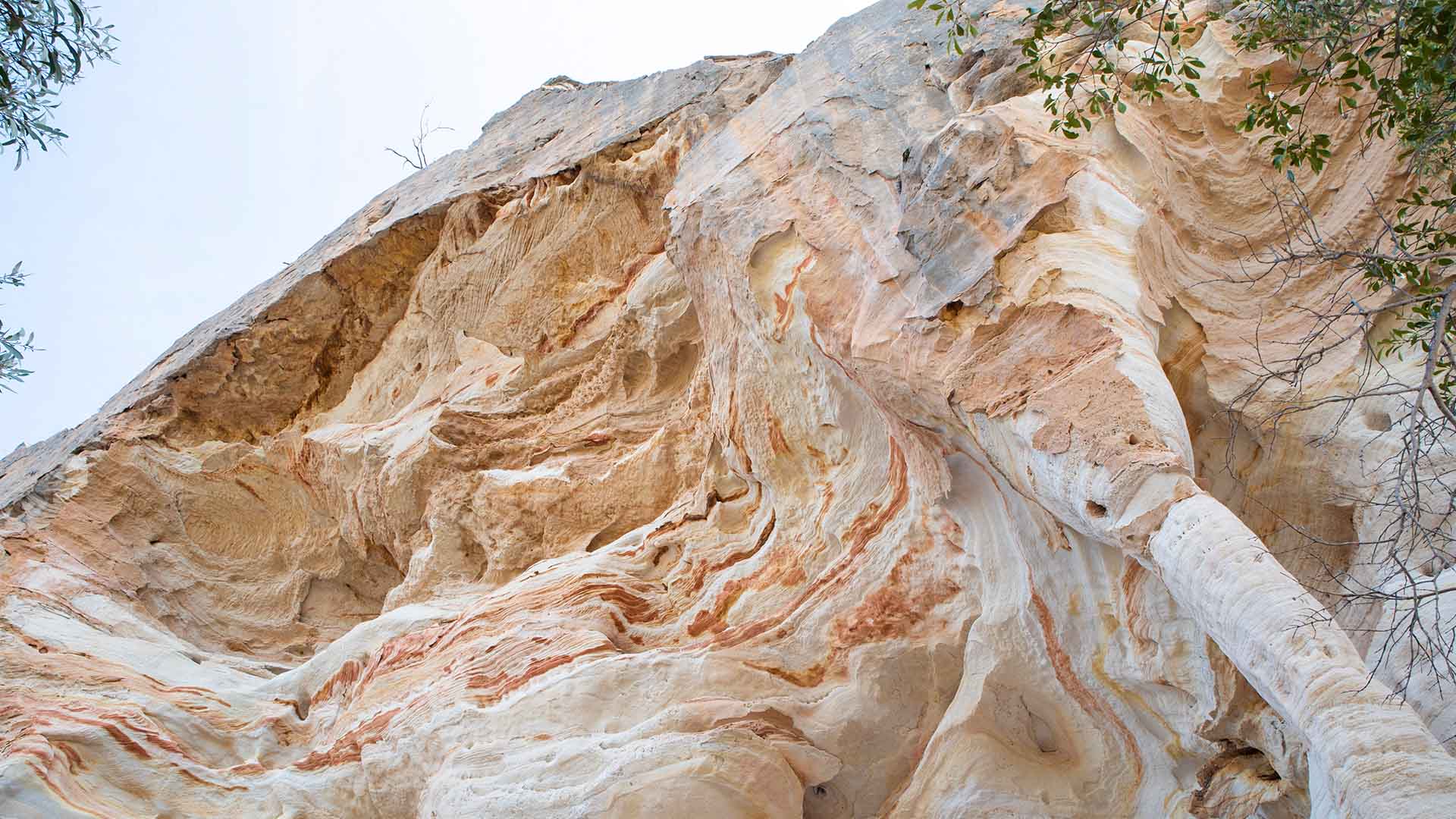 A sandstone rock face in the Carnarvon Ranges