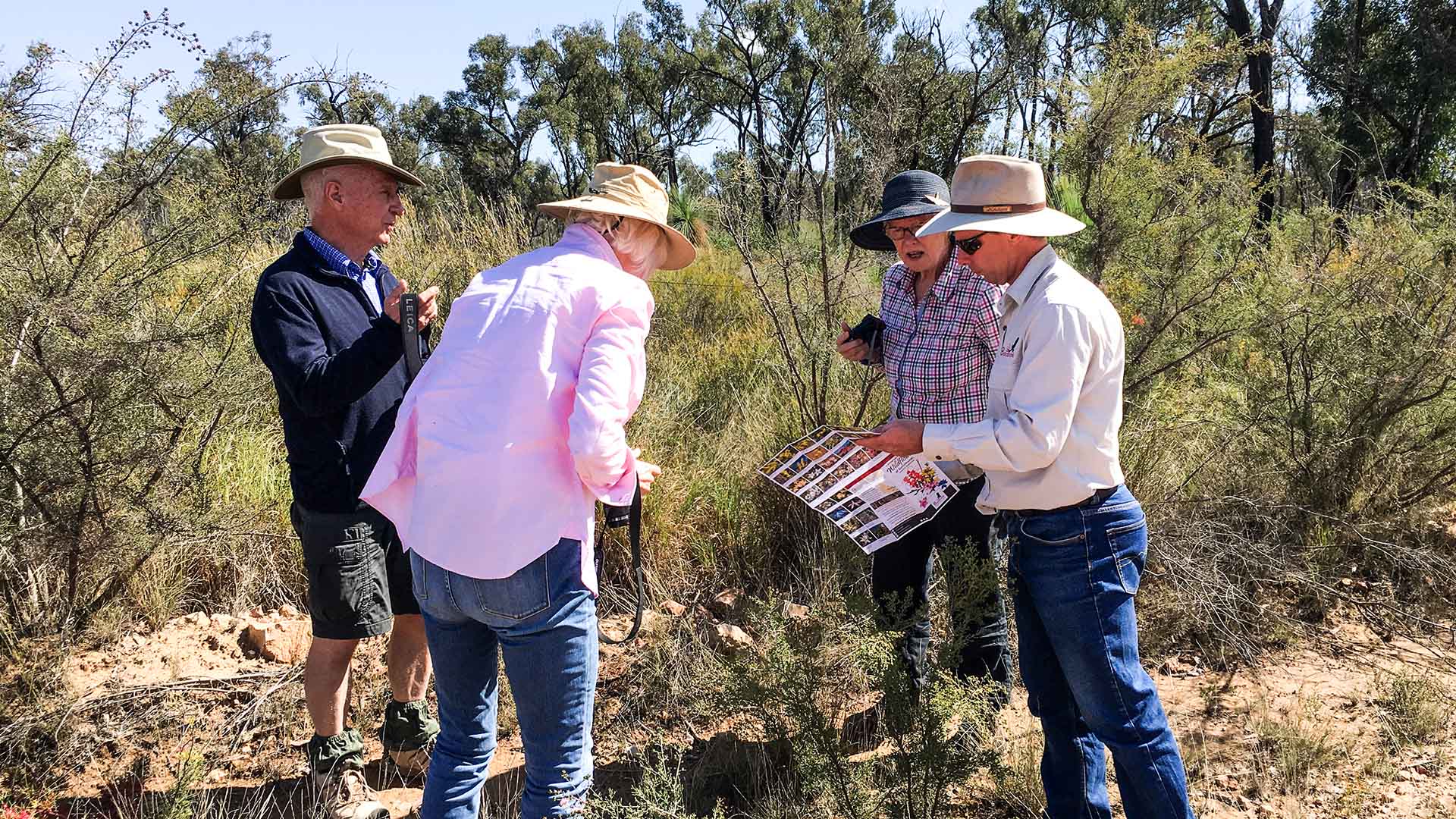 Group of people in Australian bush setting