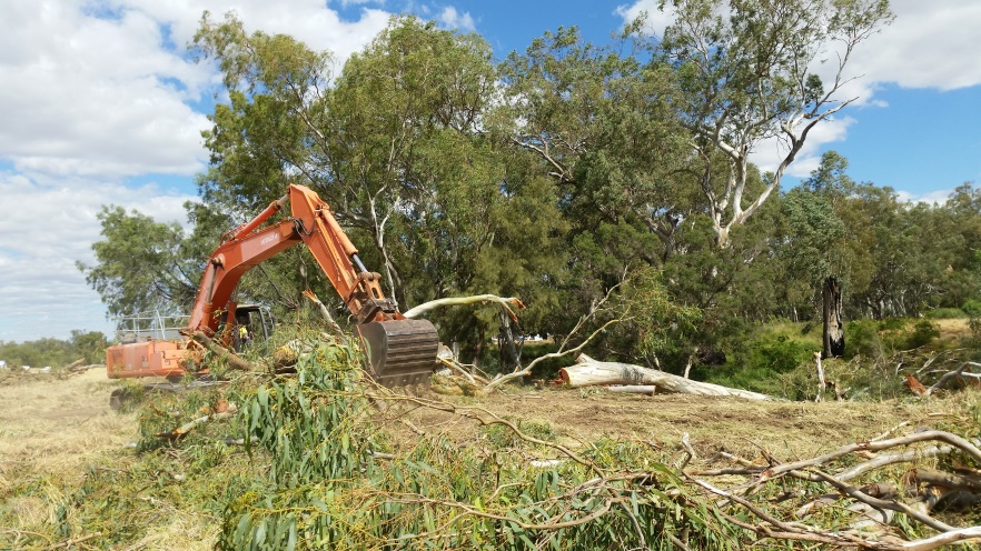 Land clearing for construction