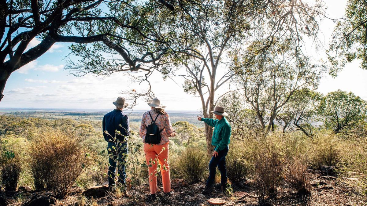 Landscape and Legacy in Roma