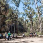 A tour group sat on logs enjoying snacks and morning tea