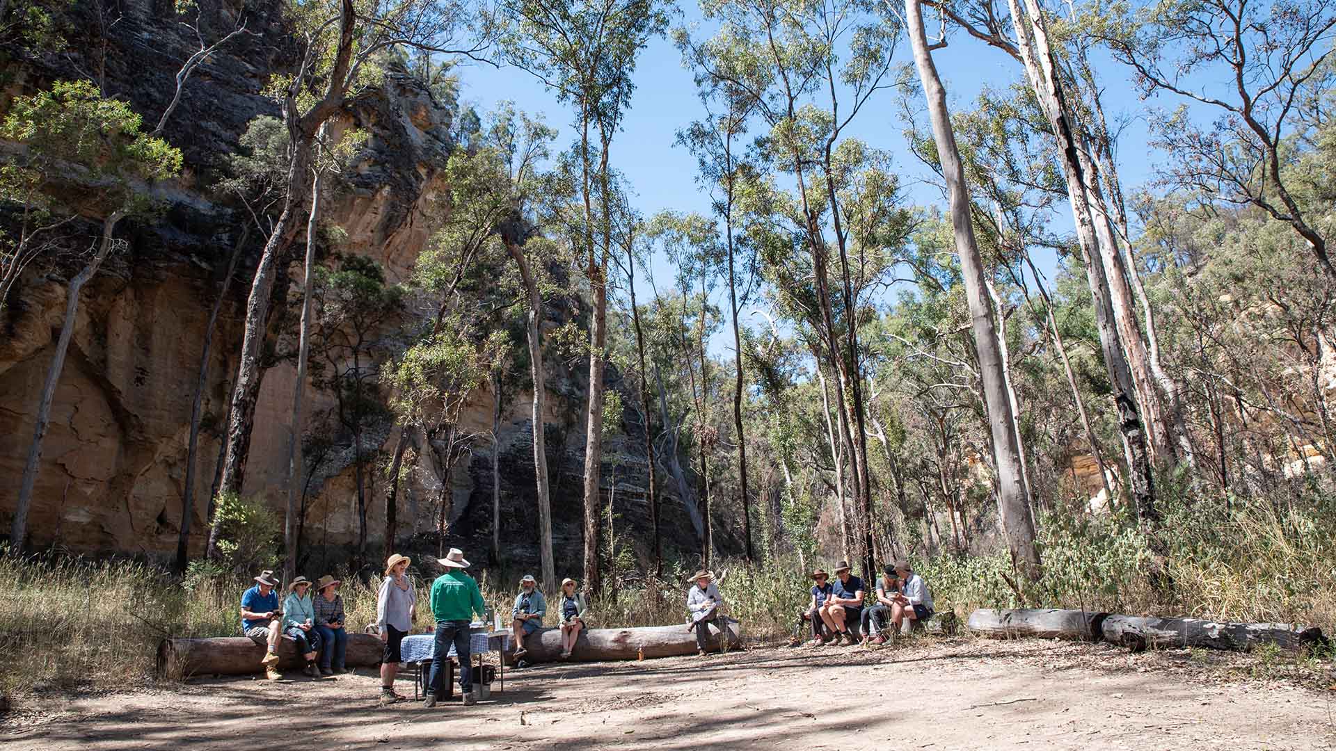 A tour group sat on logs enjoying snacks and morning tea