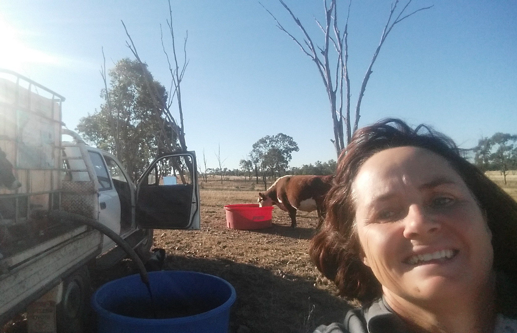 business farming woman family cattle outback Queensland Roma